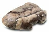 Polished Kona Dolomite Stone Frog - Michigan #309123-1